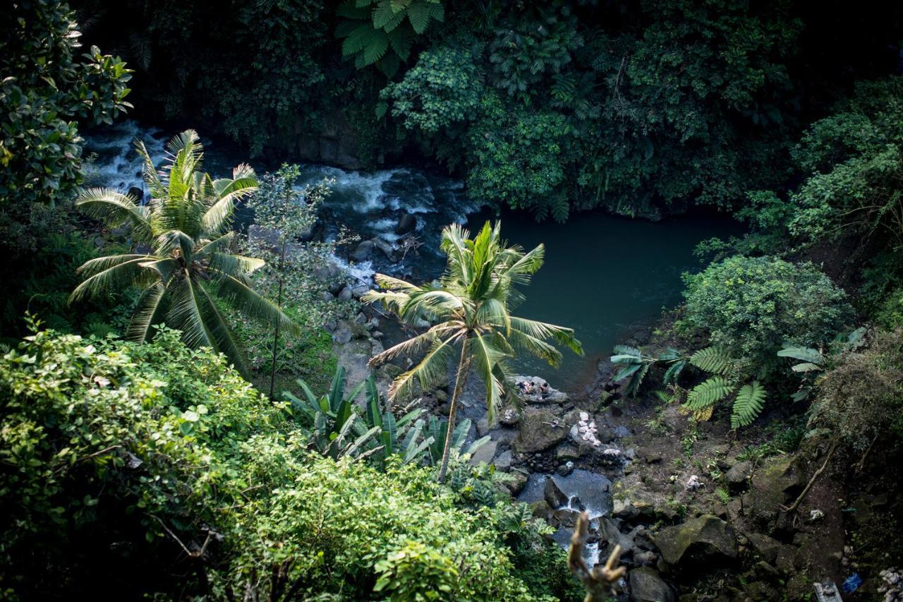 Villa Kalisat Resort Ubud Exteriér fotografie