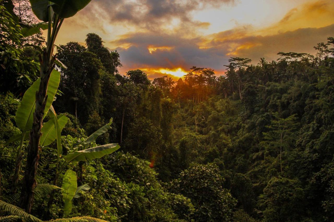 Villa Kalisat Resort Ubud Exteriér fotografie